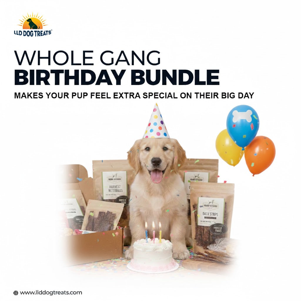 Whole Gang Birthday Bundle
