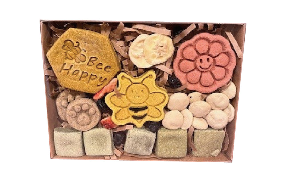 cookies tackle box berner Bee's Knees Box – LLD Dog Treats
